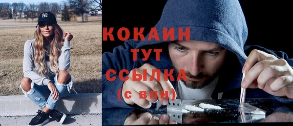 гашик Арсеньев