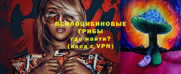 гашик Арсеньев