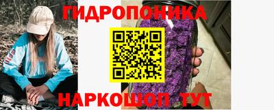 индика Аргун