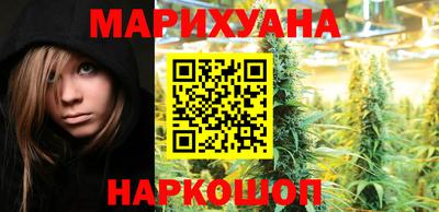 индика Аргун